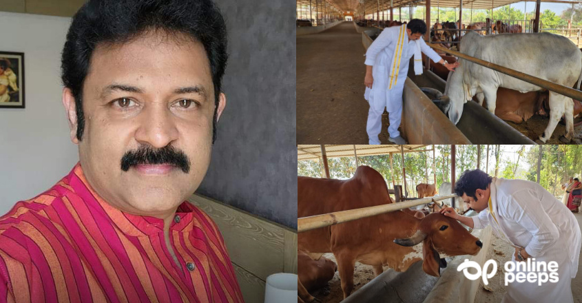 “മുൻജന്മ ബന്ധം” ; പശുക്കളുമായുള്ള ബന്ധത്തെക്കുറിച്ച് കൃഷ്ണകുമാര്‍