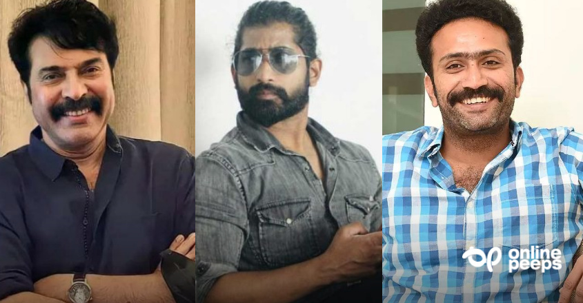 ഡിനോ ഡെന്നീസ് ചിത്രത്തില്‍ മമ്മൂട്ടിയും ഷൈന്‍ ടോം ചാക്കോയും ഒന്നിക്കുന്നു; വരുന്നത് വന്‍ ചിത്രം