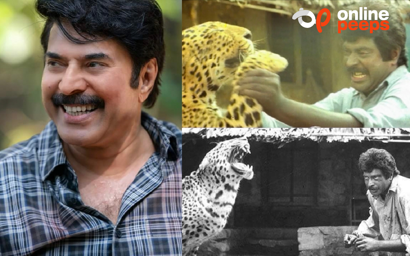 “യഥാർത്ഥ പുലികളുമായിട്ടാണ് മമ്മൂക്ക ഫൈറ്റ് ചെയ്തത്. അതൊരു വലിയ അനുഭവം ആയിരുന്നു”