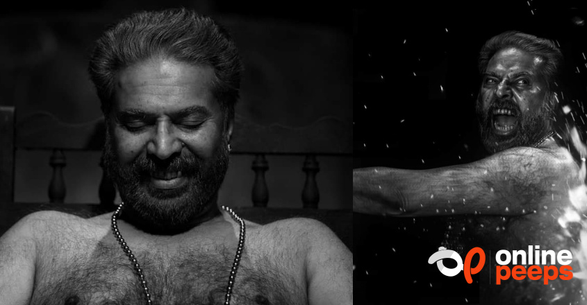 ബോക്സ് ഓഫീസിൽ കത്തികയറി മമ്മൂട്ടിയുടെ ”ഭ്രമയുഗം” ; കളക്ഷൻ റിപ്പോർട്ട്